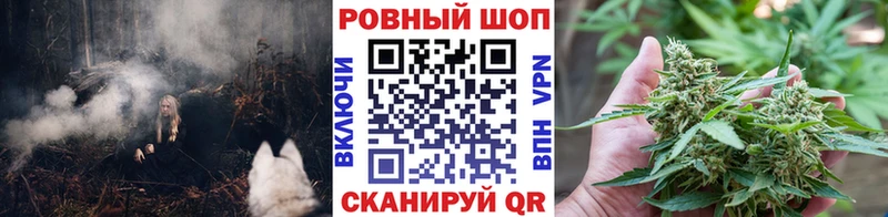Магазины продажи наркотиков Камышин MDMA  Канабис  APVP  Гашиш  Меф  Cocaine 