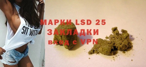 ECSTASY Алзамай